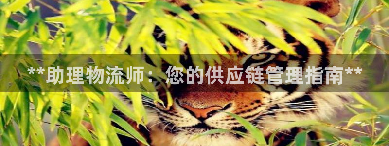 28圈软件有什么用：**助理物流师：