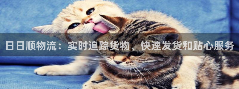 28圈为什么没有赢过一次