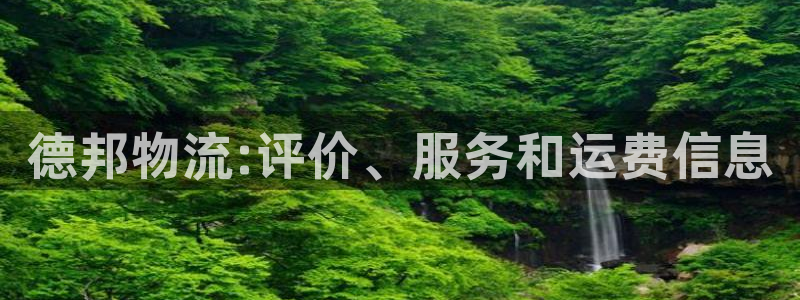 28圈ccm游戏：德邦物流:评价、服