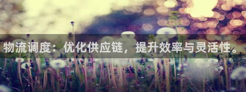 28圈口内径是多大