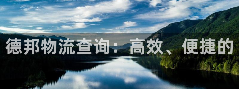 28圈游戏官网版：德邦物流查询：高效、便捷的