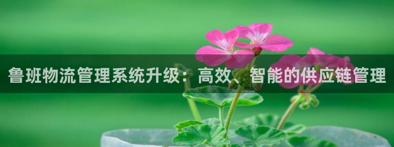 28圈二维码