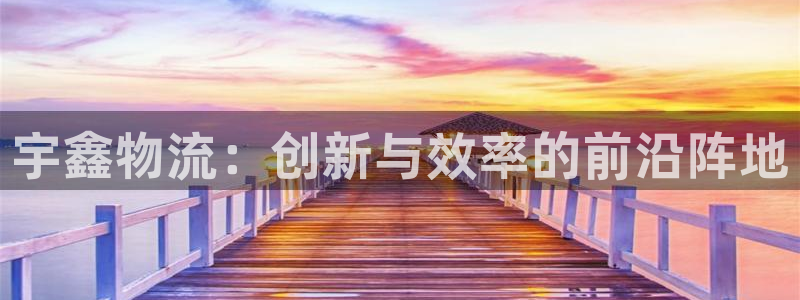 28圈注册教程：宇鑫物流：创新与效率