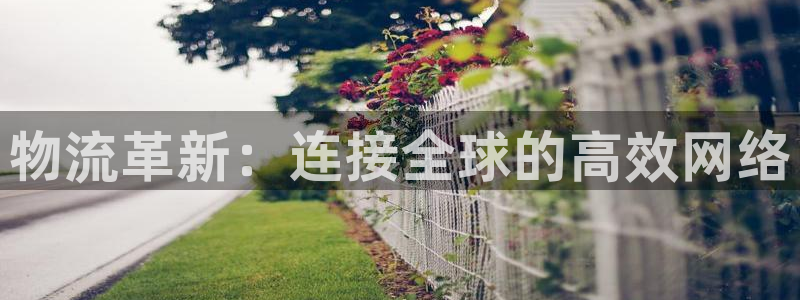 自行车28圈是什么意思：物流革新：连