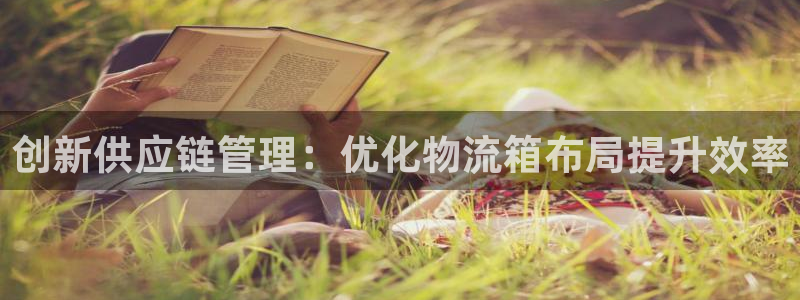 28圈.ccm正版：创新供应链管理：