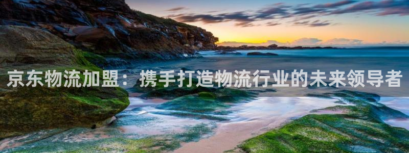28圈官网版2024：京东物流加盟：