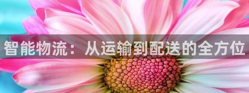 28圈加拿大技巧