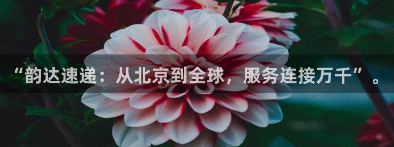 28圈提现未达5期是什么意思：“韵达