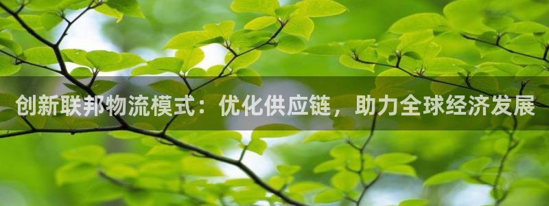 28圈二维码