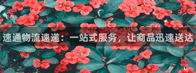 28圈.ccmpc正版