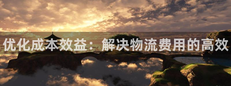 28圈注册登录：优化成本效益：解决物