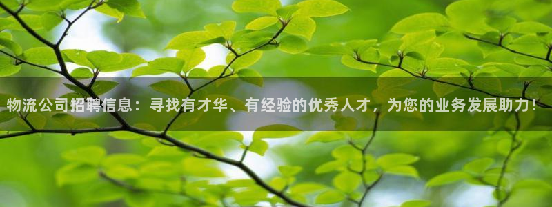 28圈圈：物流公司招聘信息：寻找有才华、有经验的优秀人才，为