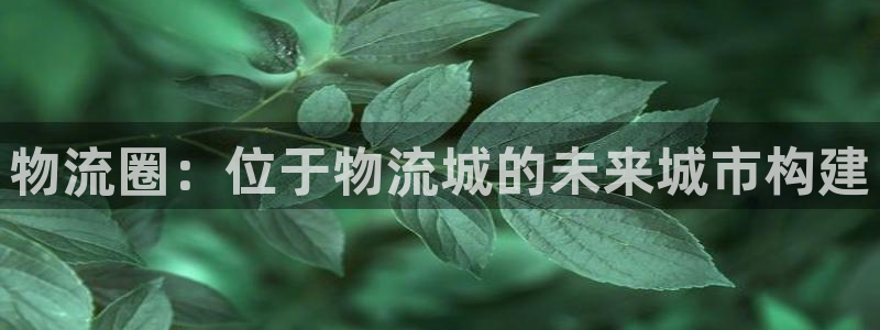 28圈提款一直没到：物流圈：位于物流
