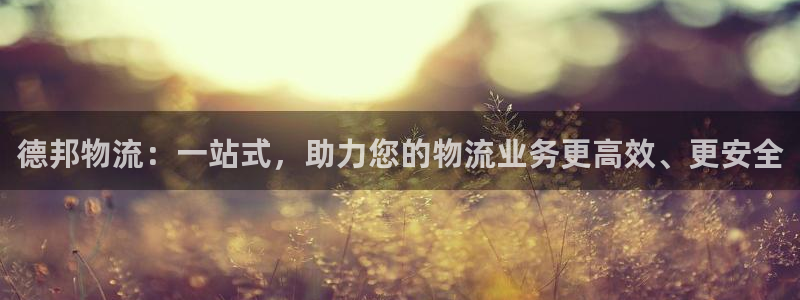 28圈登录不上咋回事：德邦物流：一站