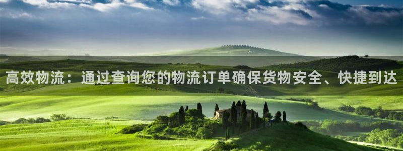 28圈app注册地址：高效物流：通过