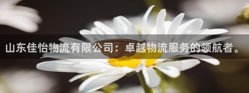28圈官方网站是多少