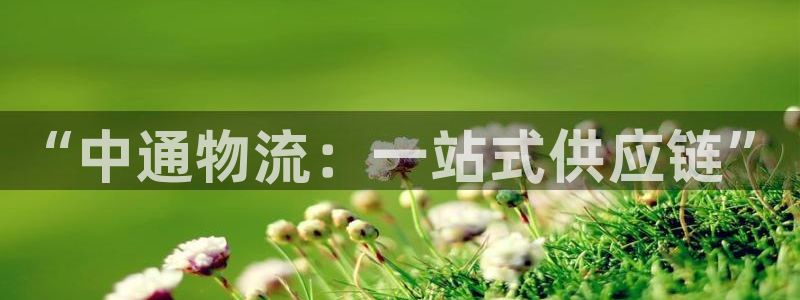 28圈.ccm南宫
