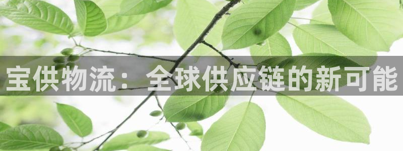28圈怎么下载：宝供物流：全球供应链