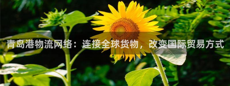 28圈充值不处理