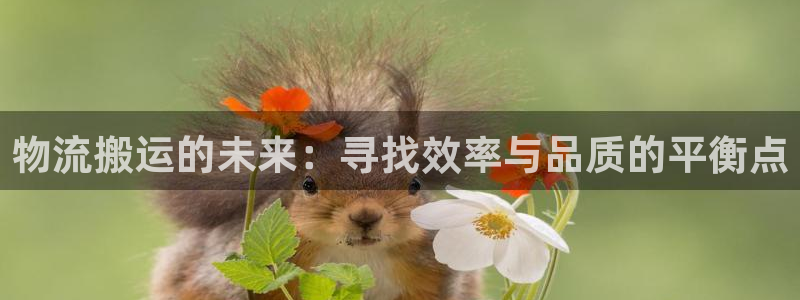 28圈登录用户名登录不上：物流搬运的