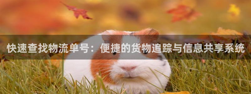 28圈连接