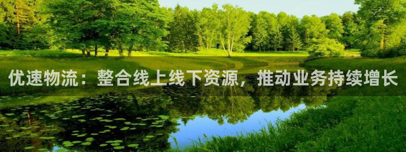 28圈软件堵什么反什么：优速物流：整合线上线下资源，推动业务