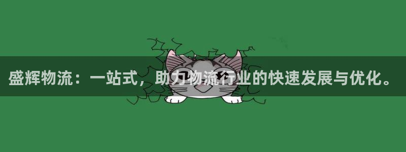 28圈模拟器在线使用：盛辉物流：一站式，助力物流行业的快速发