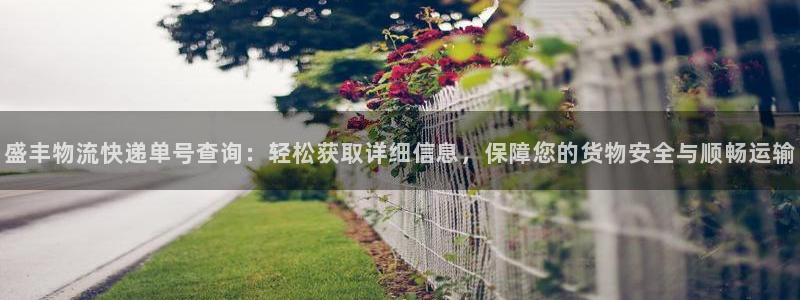 28圈充值不处理会怎么样
