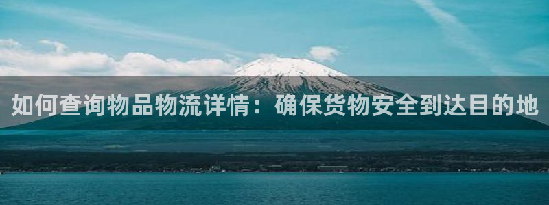 28圈.ccm2024：如何查询物品