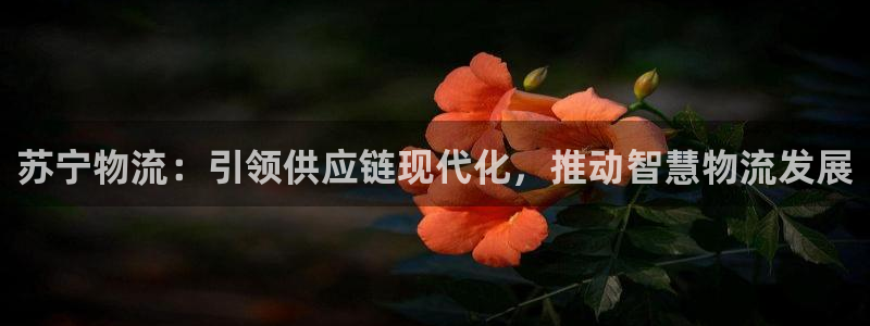28圈代理落网