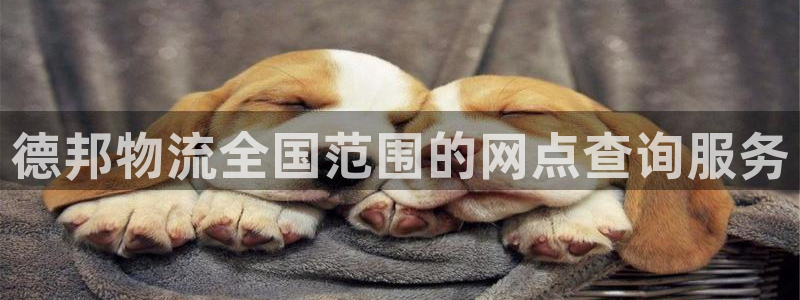 28圈加拿大是什么