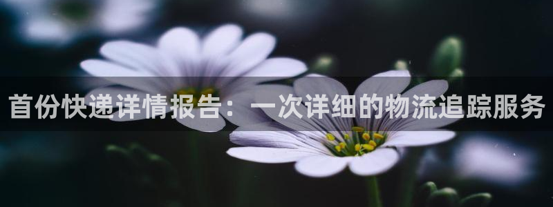 28圈推广链接是多少个：首份快递详情报告：一次详细的物流追踪