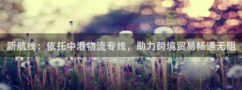 28圈技巧
