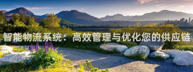 28圈退款教程：智能物流系统：高效管理与优化您的供应链