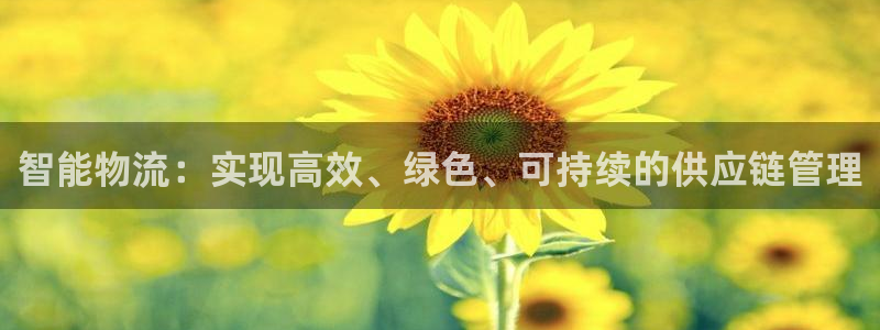 28圈游戏官网入口