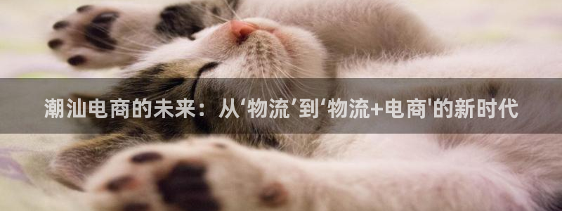 28圈.ccmpc正版