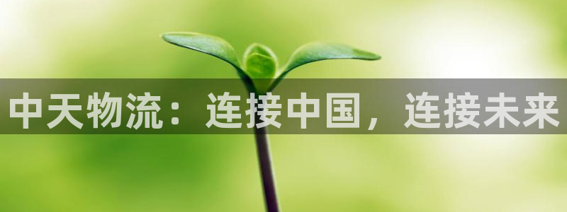 28圈游戏官网入口