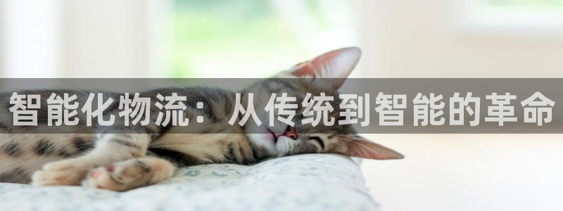 28圈注册链接教程：智能化物流：从传
