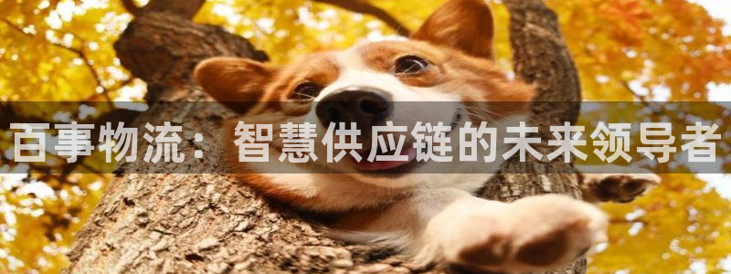 28圈自行车图片大全：百事物流：智慧
