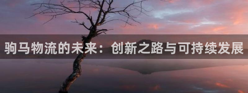 28圈加拿大技巧：驹马物流的未来：创