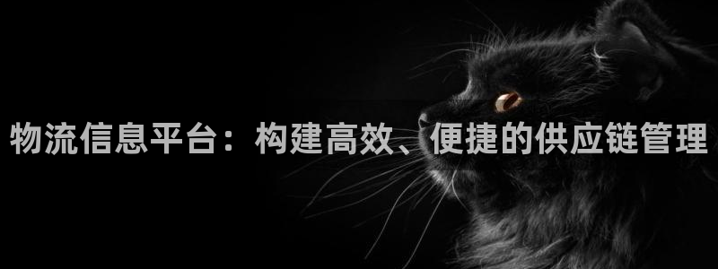 28圈预测加拿大：物流信息平台：构建
