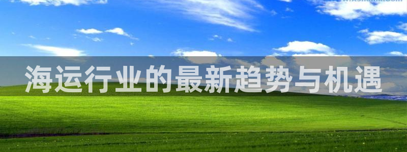 28圈开奖预测：海运行业的最新趋势与机遇